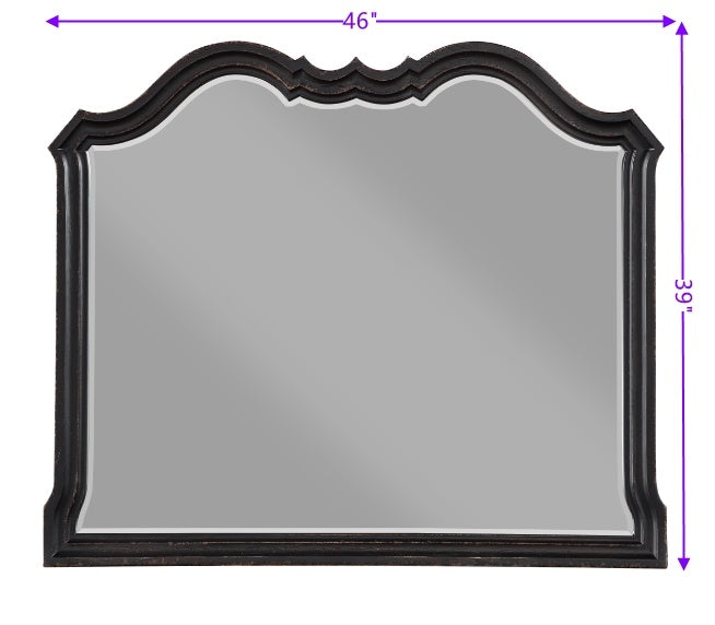 ACME Chelmsford Mirror, Black Antique Finish BD02298