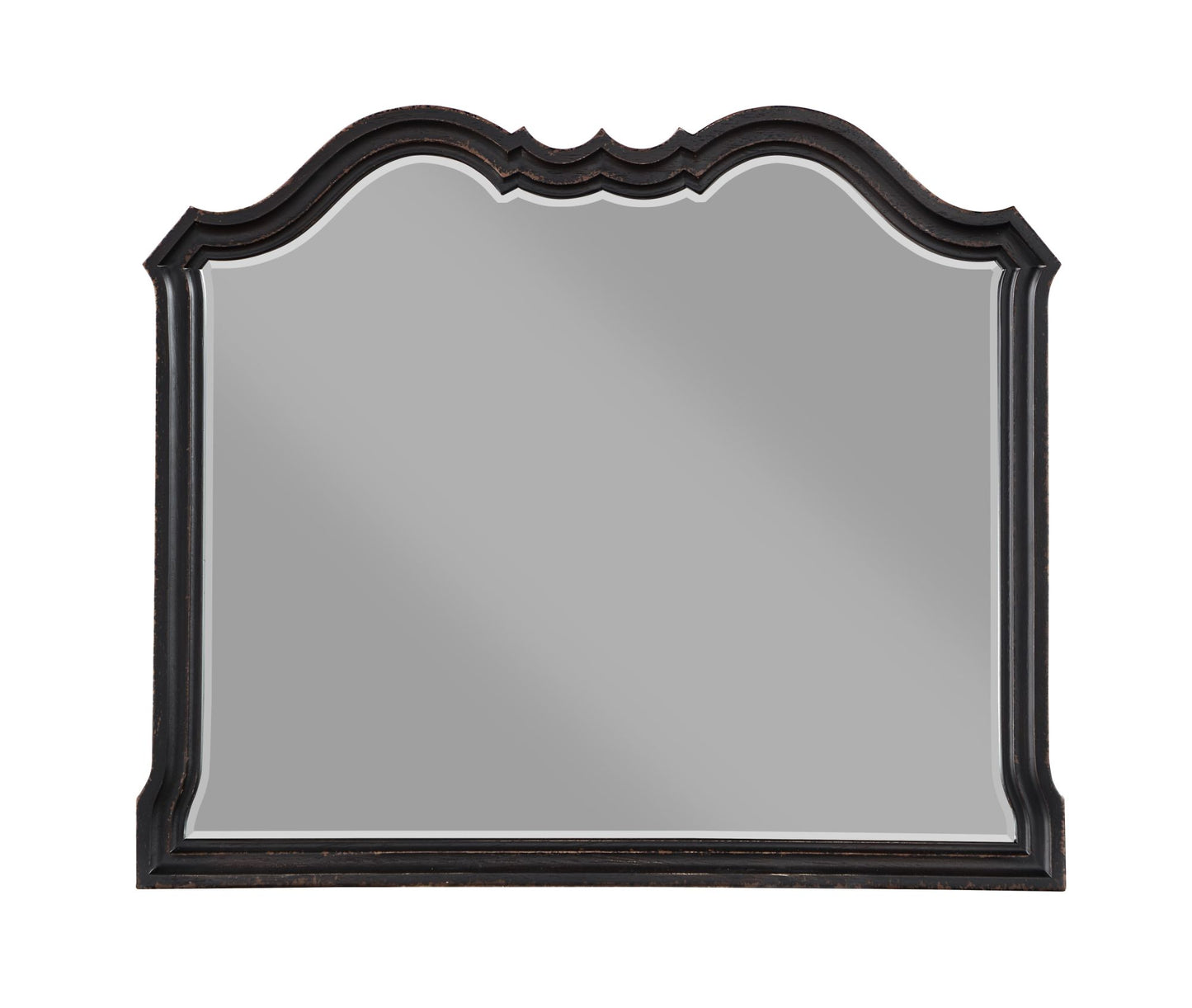 ACME Chelmsford Mirror, Black Antique Finish BD02298