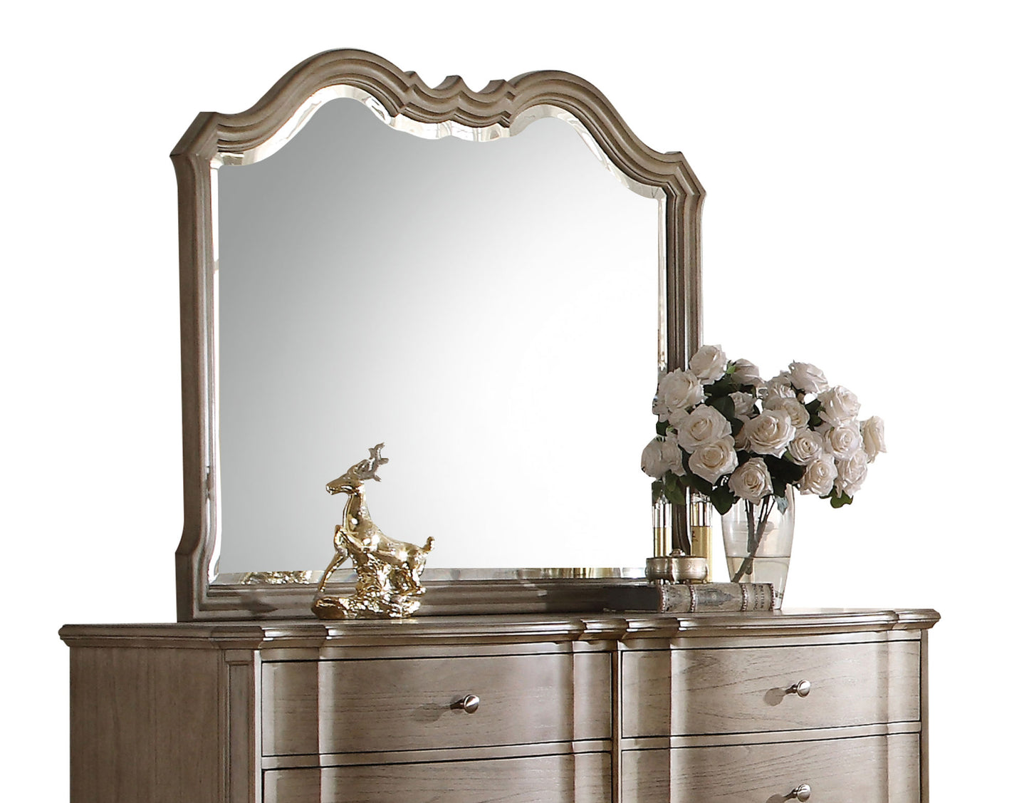 ACME Chelmsford Mirror in Antique Taupe 26054