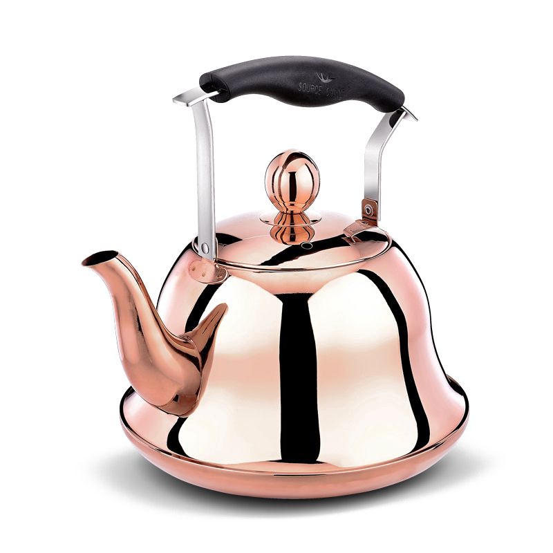 Whistling Stainless Steel Kettle