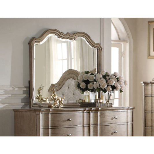 ACME Chelmsford Mirror in Antique Taupe 26054