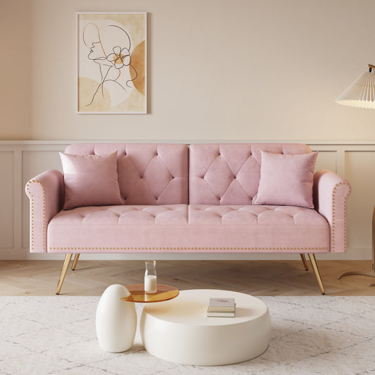 Clairmount Tufted Velvet Sofa Bed