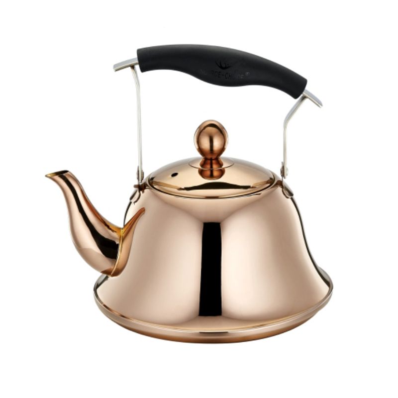 Whistling Stainless Steel Kettle