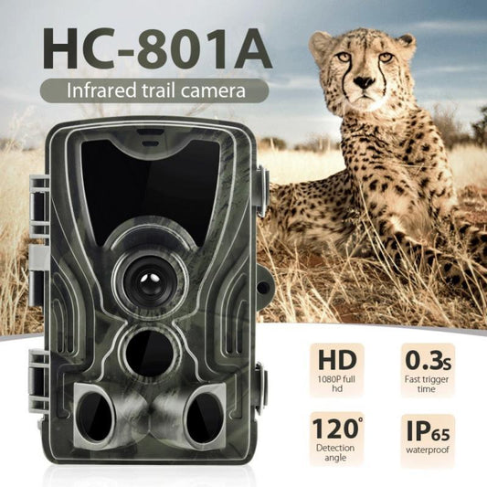 HD Recording Hunting Trail Camera - Divine Heart L.A.