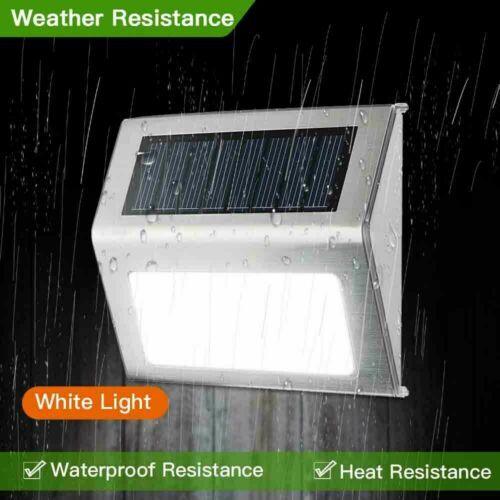 Light the Path Outdoor Solar Lighting - Divine Heart L.A.